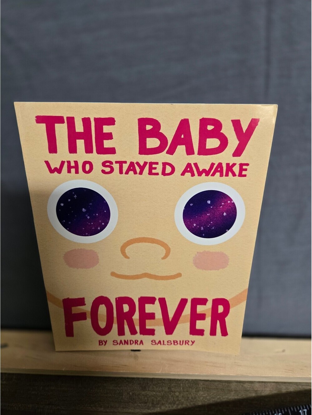 The Baby Who Stayed Awake Forever by Sandra Salsbury